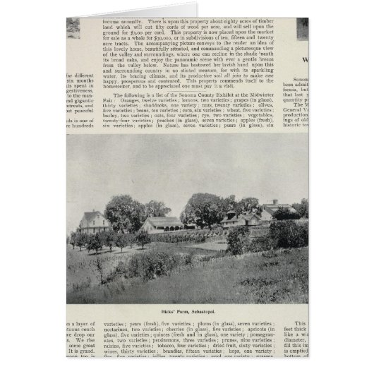 Sebastopol, California (Front)