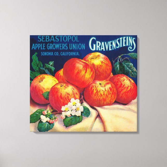 Sebastopol Gravensteins Apple LabelSonoma, CA Canvas Print (Front)