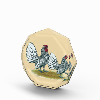 Sebright Bantams: Silver Acrylic Award