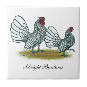 Sebright Bantams: Silver Ceramic Tile