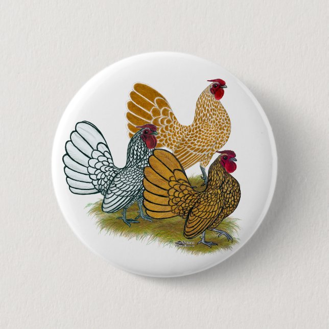 Sebright Rooster Assortment Button (Front)