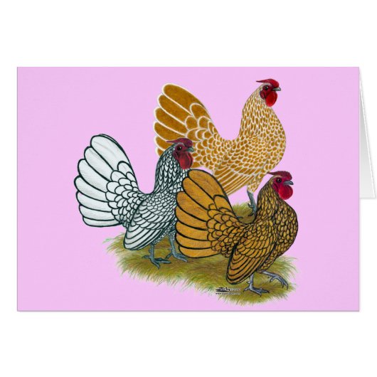 Sebright Rooster Assortment Cards (Front Horizontal)