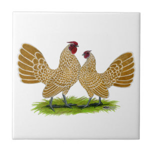 Sebrights Buff Laced Tile