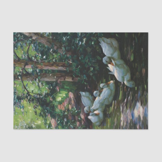 Sechs Enten in Wasser by Alexander Koester Tissue Paper (Front)