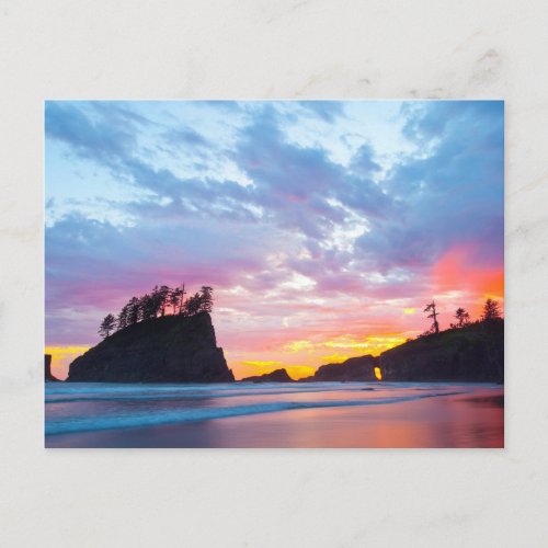 Second Beach at sunset Washington Postcard