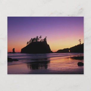 Second Beach at Twilight, Olympic NP, WA, USA Postcard