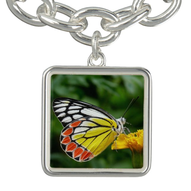 Second Wings Of Wonder Charm Bracelet (Design)