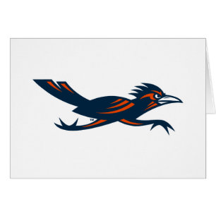 Secondary Marks Roadrunner