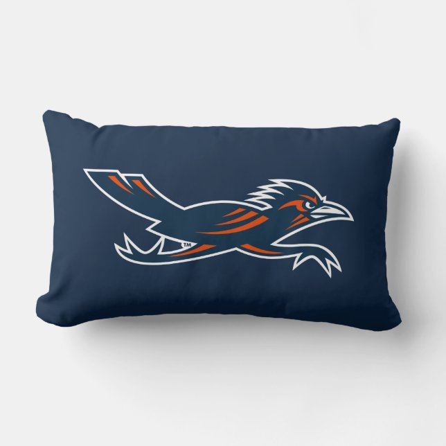 Secondary Marks Roadrunner Lumbar Pillow (Front)