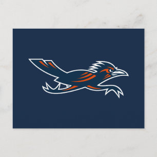 Secondary Marks Roadrunner Postcard