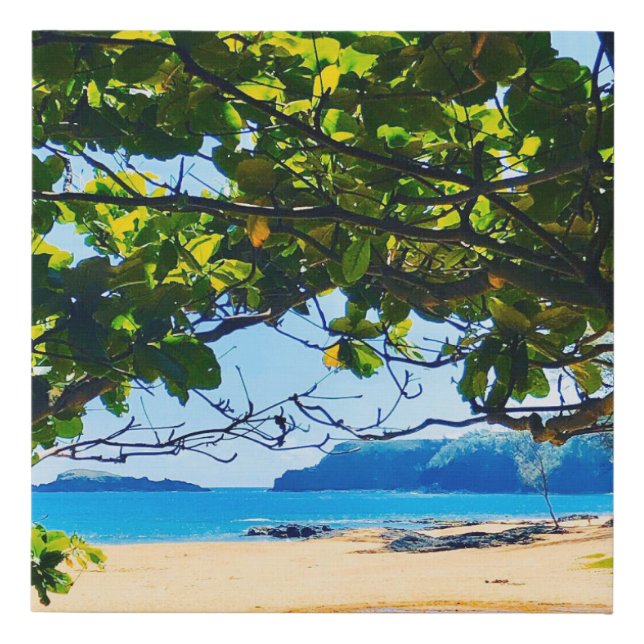 Secret Beach, Kauai Canvas Wall Print (Front)