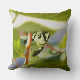 Secret Chamäelon Throw Pillow