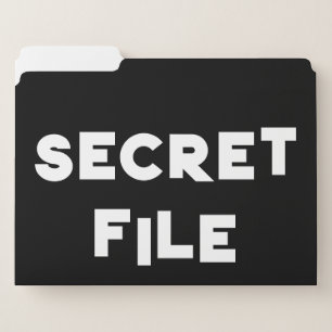 SECRET FILE, JUNK FILE folders for work fun