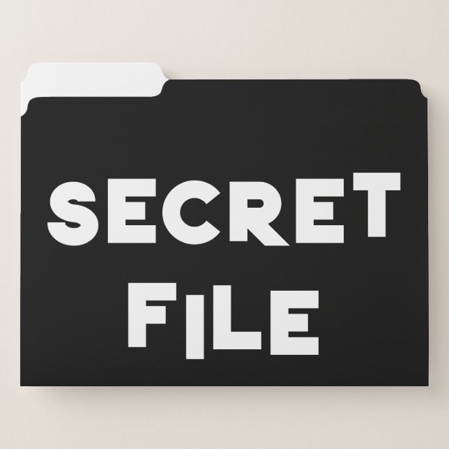 SECRET FILE, JUNK FILE folders for work fun (Front Left)