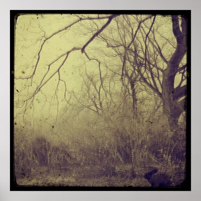 Secret Garden Poster (Front)