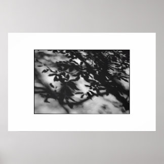 Secret Garden Poster