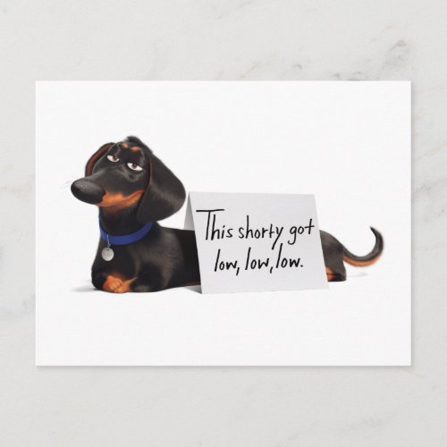 Secret Life of Pets  Buddy _ Low Low Low Postcard