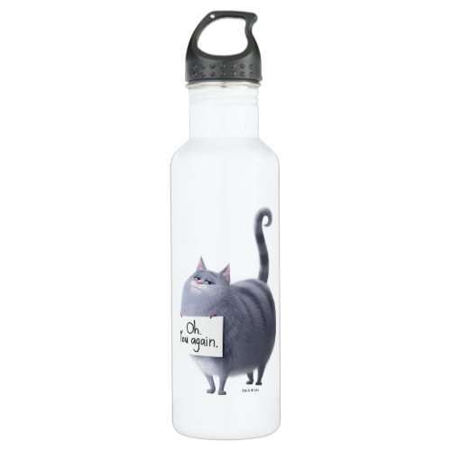 Secret Life of Pets  Chloe _ You Again Stainless Steel Water Bottle