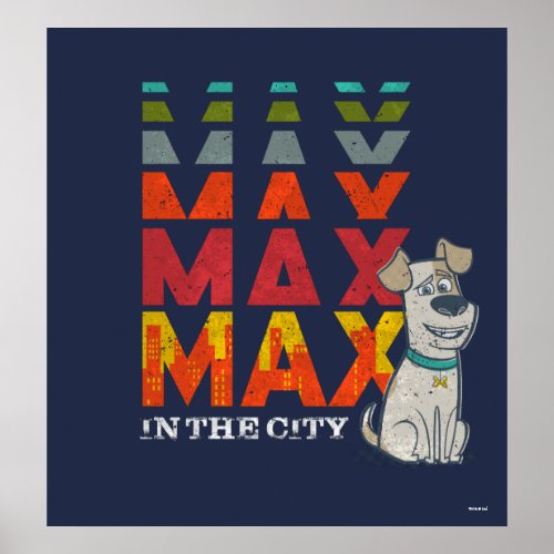 Secret Life of Pets - Max in the City