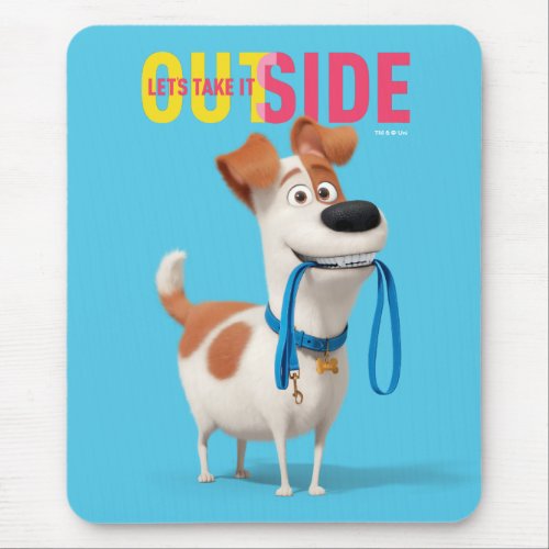 Secret Life of Pets - Max | Take it Outside