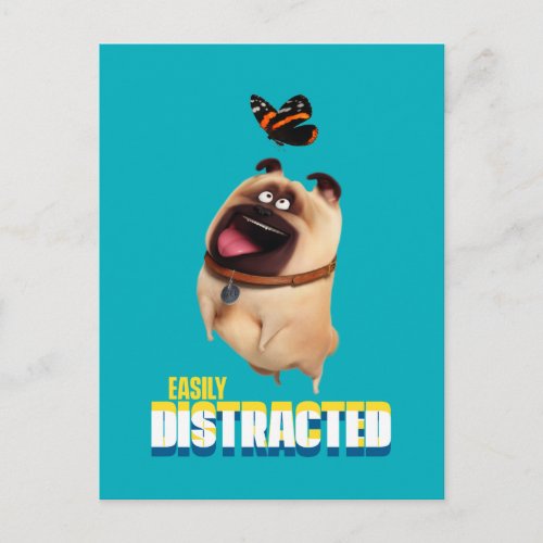 Secret Life of Pets _ Mel  Easily Distracted Postcard