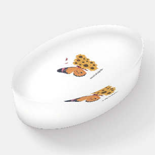 Secret Of Nigeria Butterfly Paperweight