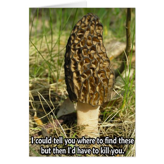 Secret of the Morel Hunter Cards (Front)