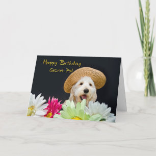 Secret Pal - Birthday Card