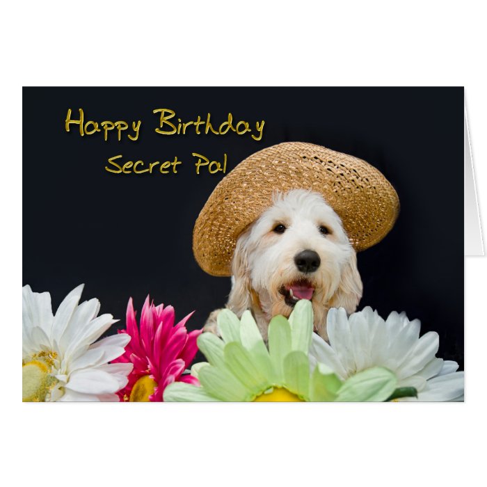 Secret Pal   Birthday Greeting Cards