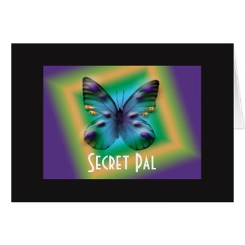 Secret Pal Boxed Butterfly by ArdieAnn at Zazzle