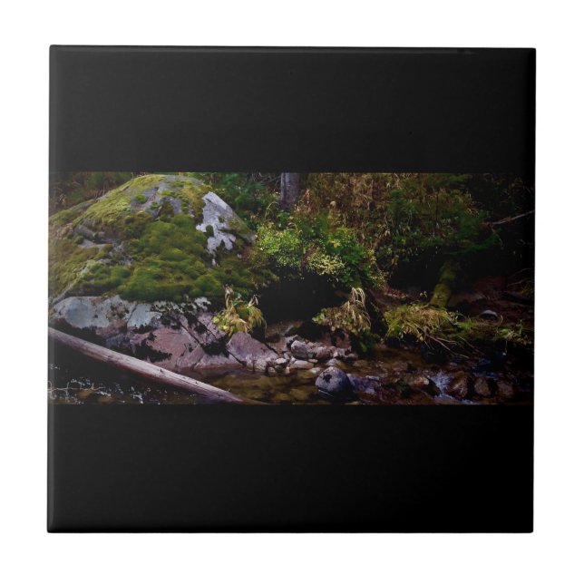 Secret Place Ceramic Tile (Front)