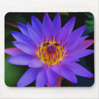 Secret Rendezvous Mouse Pad