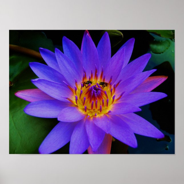 Secret Rendezvous Poster (Front)