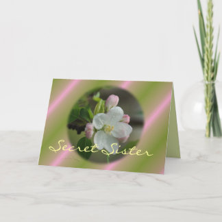 Secret Sister Apple Bloom Card- customize Card