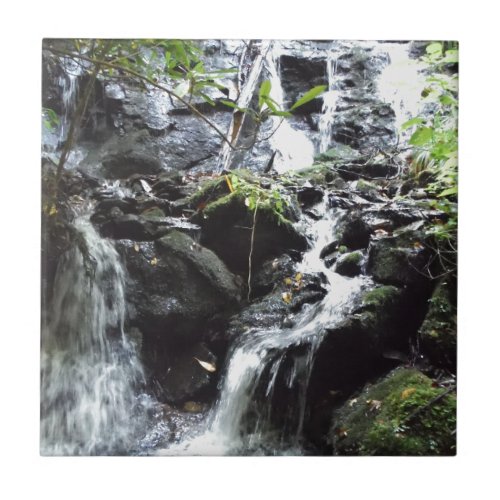 Secret Smoky Mountain Waterfall Ceramic Tile