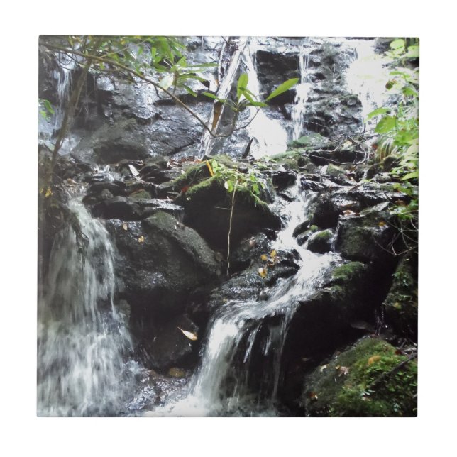 Secret Smoky Mountain Waterfall Ceramic Tile (Front)