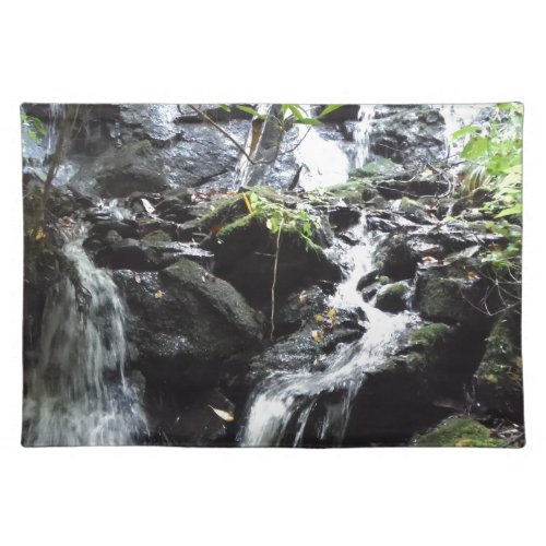 Secret Smoky Mountain Waterfall Cloth Placemat