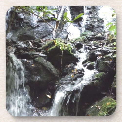 Secret Smoky Mountain Waterfall Coaster