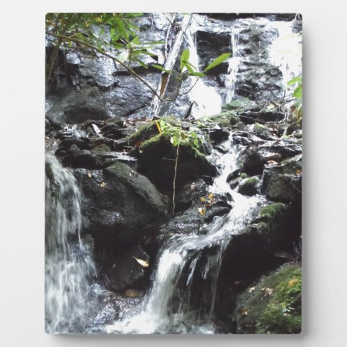Secret Smoky Mountain Waterfall Plaque