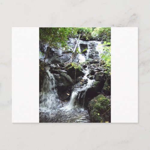 Secret Smoky Mountain Waterfall Postcard