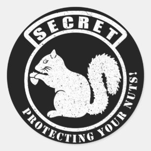 Secret Squirrel Patch Protecting Your Nuts Classic Round Sticker