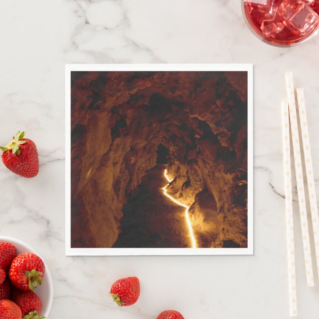 Secret Tunnel Napkins (Insitu)