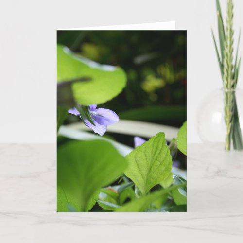 Secret Violet Floral Photography Greeting Card