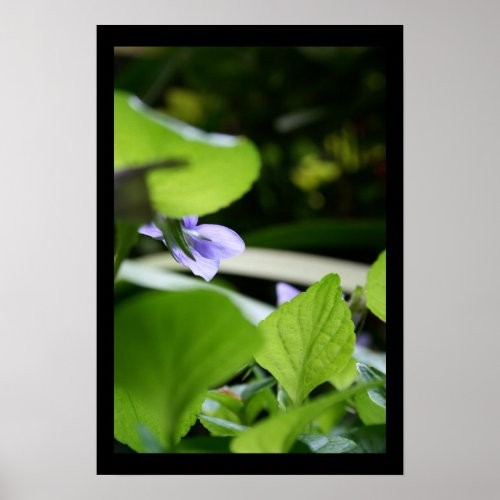 Secret Violet Floral Photography Poster