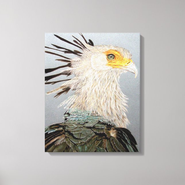 Secretary Bird Canvas Print (Front)