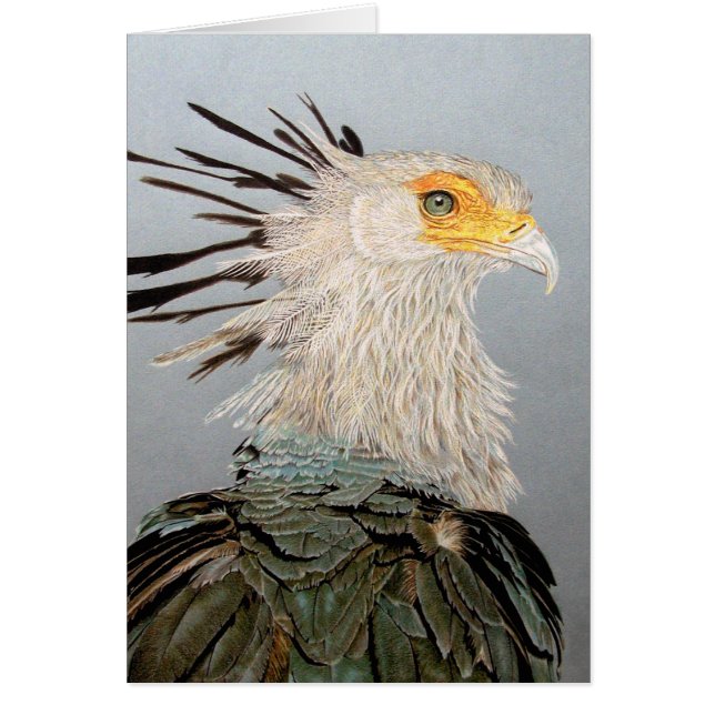 Secretary Bird Cards (Front)