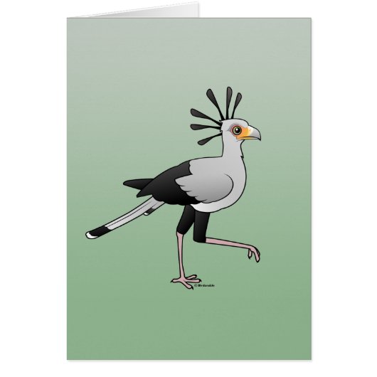 Secretary Bird Cards (Front)