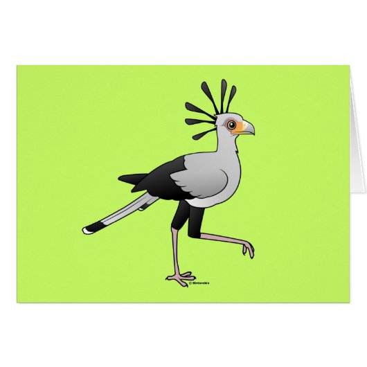 Secretary Bird Cards (Front Horizontal)