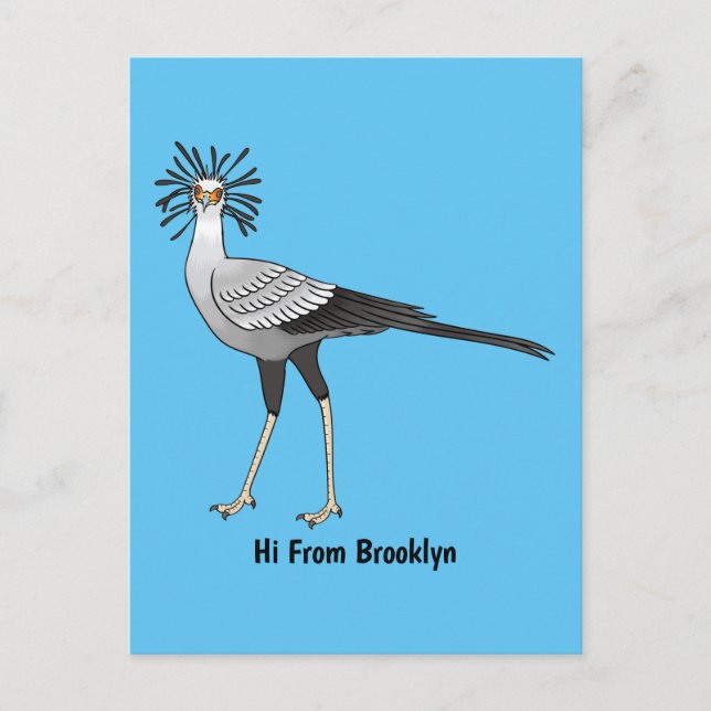 Secretary bird cartoon illustration postcard (Front)