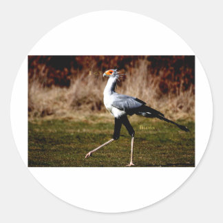 Secretary Bird Classic Round Sticker